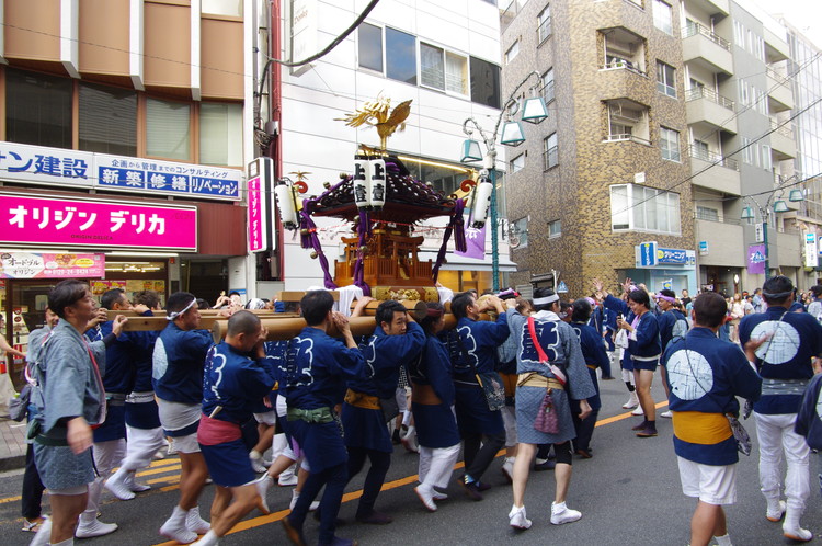色々なお神輿が見られるのも醍醐味です
